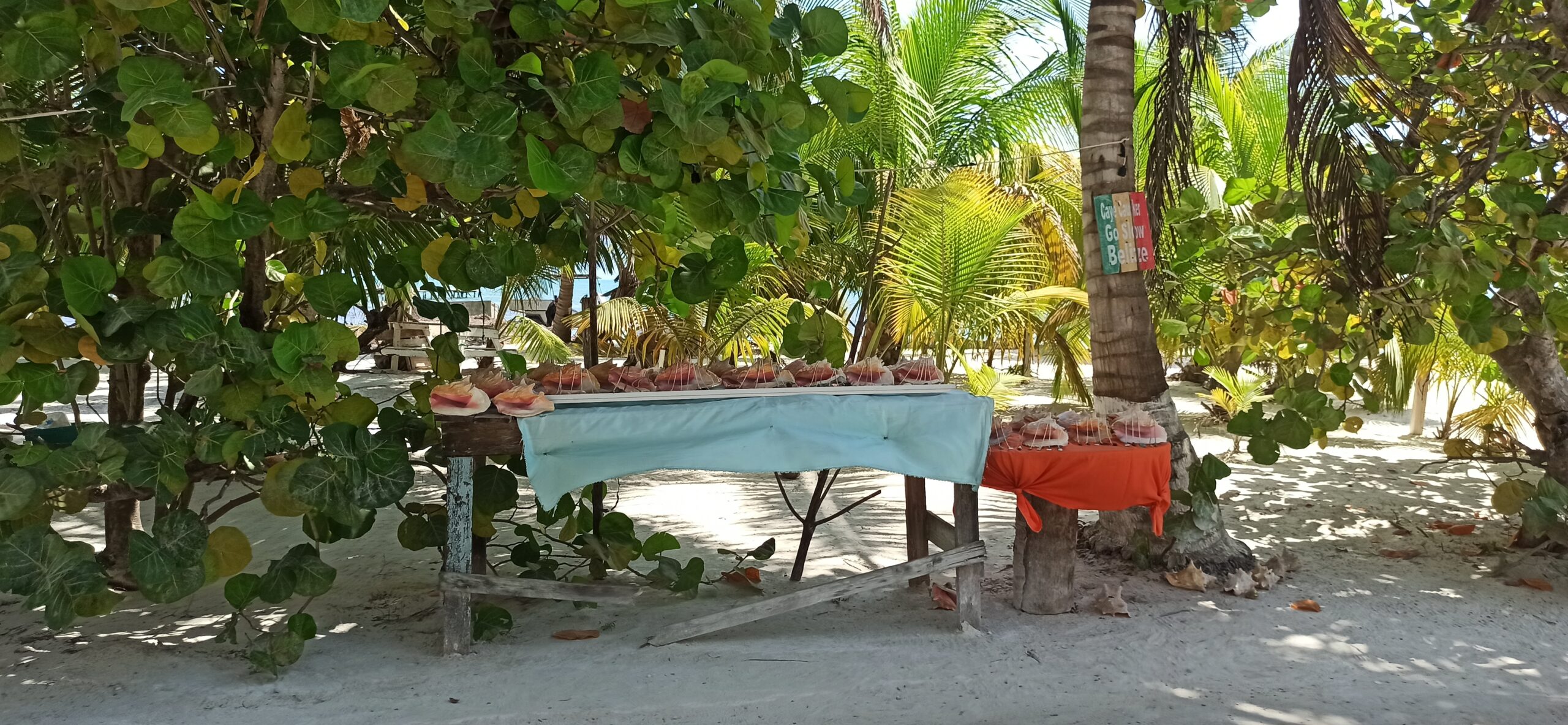Caye Caulker